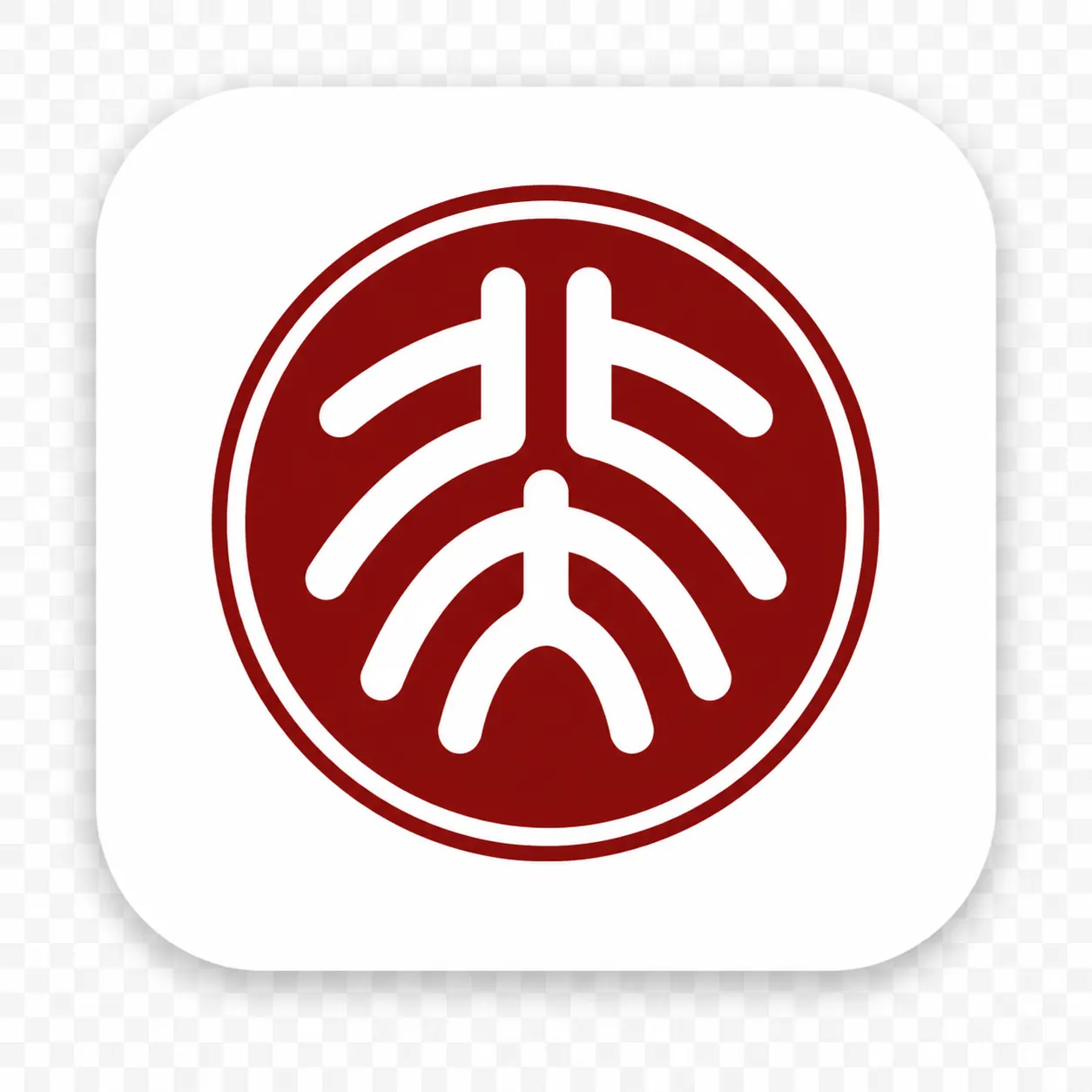 北京大学